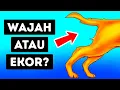 Download Lagu 20+ Ilusi Optik yang Akan Membuat Anda Melihat Dua Kali