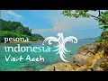 Download Lagu LAGU ACEH SALEUM || Cover by oranghutan squed
