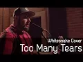 Download Lagu Too Many Tears - Whitesnake acoustic version by Bruno Prado