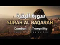 Download Lagu Soera Al-Baqarah - Comfort en rust | Omar bin Diaa Al-Din
