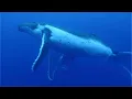 DEEPEND  -  Best Songs Compilation (part I)