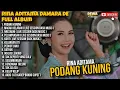 Download Lagu PODANG KUNING - RINA ADITAMA FULL ALBUM TERBARU DANGDUT POP 2024 || DEWA MUSIC