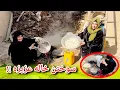 Lagu سوختن دست خاله عزیزه و چپه شدن دیگ ما / برنامه های ما حیف شد 😔