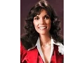Download Lagu THE CARPENTERS \