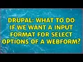 Drupal What to do if we want a input format for select options of a webform