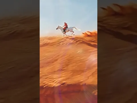 البوابة الذكية.. المربط.. بوابة صحة الخيل
#المربط