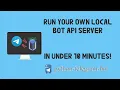 How to run your own local Telegram Bot API server in Python PTB v13