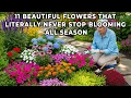 Plant These 11 Longest Blooming Flowers For Nonstop Garden Color All Season Long