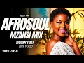 AfroSoul Mzansi Mix 2026 (Women's Day Edition) | Dj Webaba