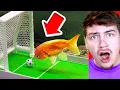 Download Lagu Dieren Met 900 IQ!