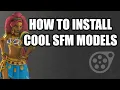 How to install SFM models