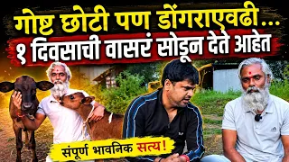 प्राणी मित्र करतोय सांभाळ..
