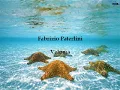 Fabrizio Paterlini - Veloma