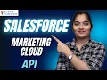 Salesforce Marketing Cloud API API in Salesforce Marketing Cloud CloudFoundation