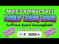 Download Lagu Mp3 Campursari Pangkur Tanjung Gunung || Tanpa Iklan ||