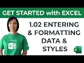 Excel for Beginners - Entering Formatting Data Styles