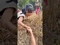 Download Lagu 😛The gold mine of HUMOR that you've been missing😎😍 #funny #cute #y #bushcraftvn #food