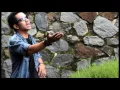 Download Lagu BANGBARA