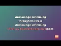 Rostam – Bike Dream (Karaoke)