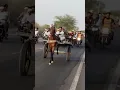 Download Lagu New sardarshahar Horse 🐎 race 3 km 8/06/2026 salim bhai ki party winner 🏆🥇#king #shortvideo