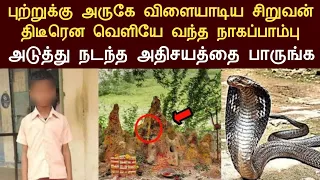 புற்றுக்கு அருகில் விளையாடிய சிறுவன் திடீரென வந்த நாகப்பாம்பு அடுத்து நடந்த அதிசயத்தை பாருங்க/panch
