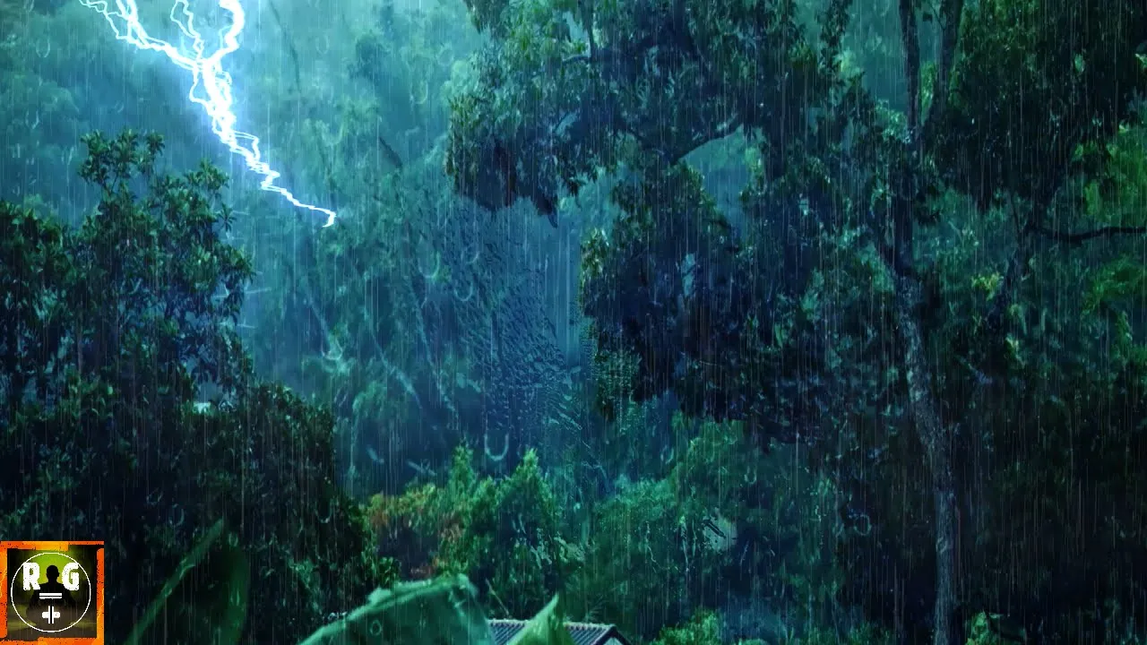 Rainforest Atmosphere: Sounds of Rain, Jungle Birds and Heavy Distant Thunder to Sleep, Study, Relax Rainforest Atmosphere: Sounds of Rain, Jungle Birds and Heavy Distant Thunder to Sleep, Study, Relax