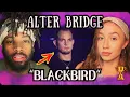 Download Lagu ALTER BRIDGE Fans Are BLOWN AWAY By This Iconic Blackbird Performance?