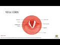 Chapter 22 Recorded Lecture