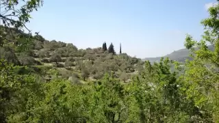 اذينة العلي رميت شالا 