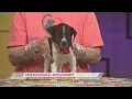 2024 East Texas Giving Day Pets Fur People