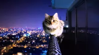 اغنية اجنبية حماسية 5 Trap Mohanad Music Song Remix 2016 