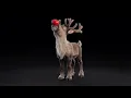 Happy Holidays from Rotten Tomatoes