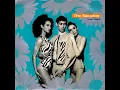 Ritmo de la Noche - The Sacados