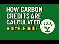 Download Lagu How Carbon Credits Are Calculated: A Simple Guide