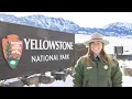 Top 10 Ranger Tips for planning a winter visit to Yellowstone 2024-25