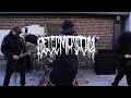 DECIMATOR - Reborn