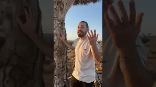 هل كنت تعرف هذه المعلومة   شعر  فصحى  عربي دندنها