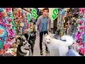 Download Buying My Dogs Everything They Touch! mp4 3gp mp3 videos - waplic
