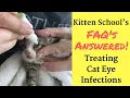 How I Treat a Kitten or Cat Eye Infection at Home