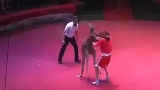 في واحد جي يضربني اسيبو يضربني امت ميديلو 