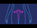 How Effective is the Birth Control Shot Planned Parenthood