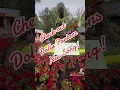 Download Lagu #dollyparton #singer #singersongwriter #dollywood #rockmusic #newsong #worldonfire #dolly #rock