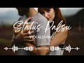 Lagu Status Palsu - Vidi Aldiano • Video Lirik • Released 2008