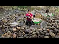 Catch river fish by arranging rocks into a trap for river fish to crawl into...