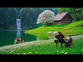 Download Lagu The Best Relaxing Classical Music for the Soul🌿 Mozart, Beethoven, Bach, Chopin, Tchaikovsky