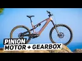 Download Lagu No Chain, No Derailleur – Just a Belt Drive and Gearbox