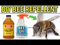 HOW TO GET RID OF BEE S WITHOUT KILLING THEM - DIY METHODS 14 Natural Ways to Remove Bee s