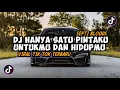 Download Lagu DJ HANYA SATU PINTAKU UNTUKMU DAN HIDUPMU SEPTI BLOODS VIRAL TIK TOK TERBARU 2023