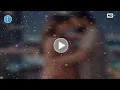 Download Lagu Portrait Video Nanny Canon EosR5 + RF85 f1.2L DS #A42333F #01806