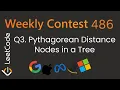 Pythagorean Distance Nodes in a Tree LeetCode 3820 Weekly Contest 486 Tree Math